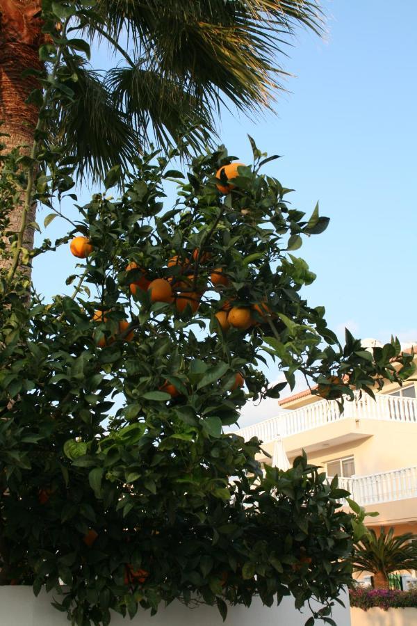 Nissi Villa Айя-Напа Экстерьер фото